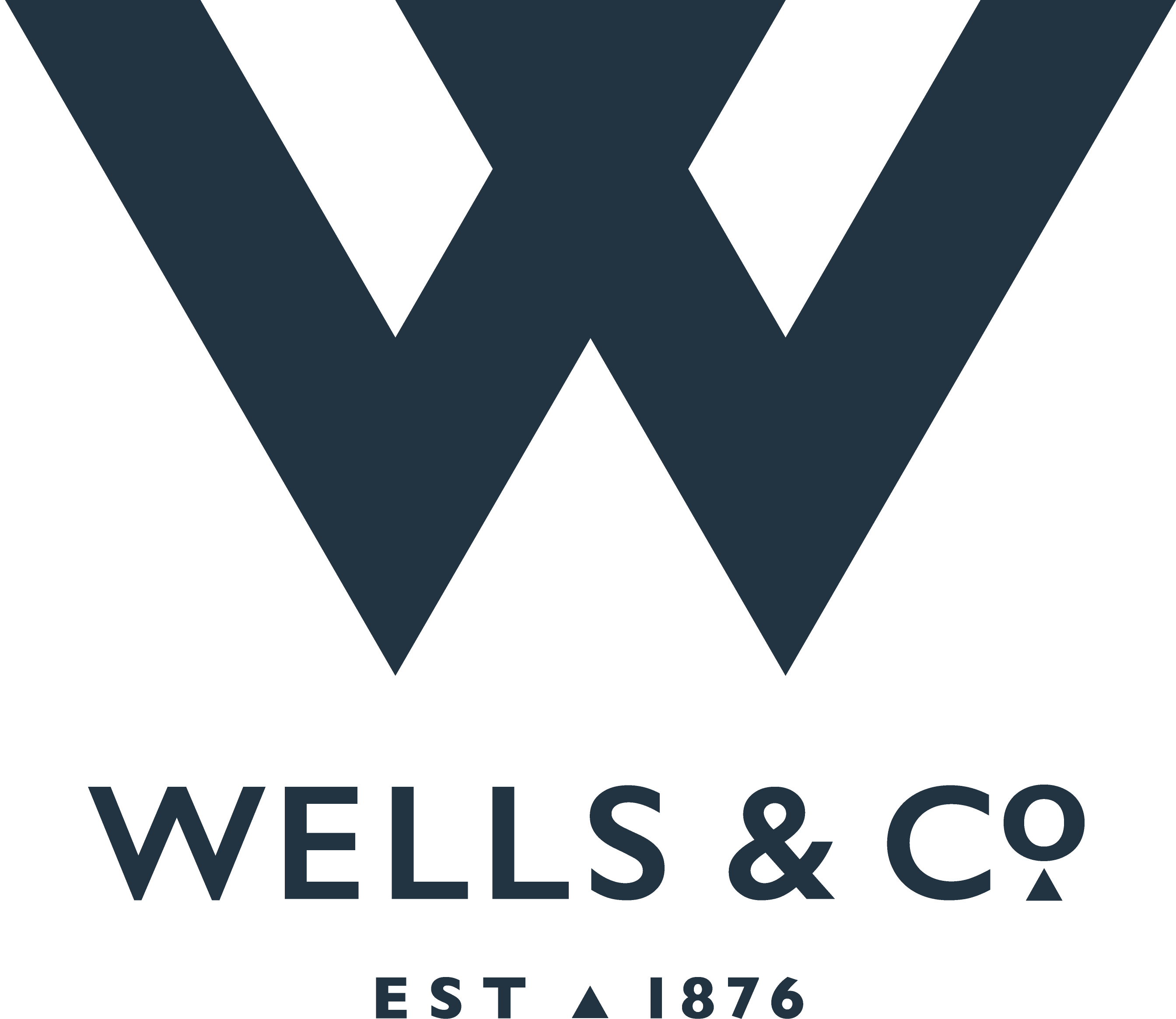 Wells-Logo (2)_png