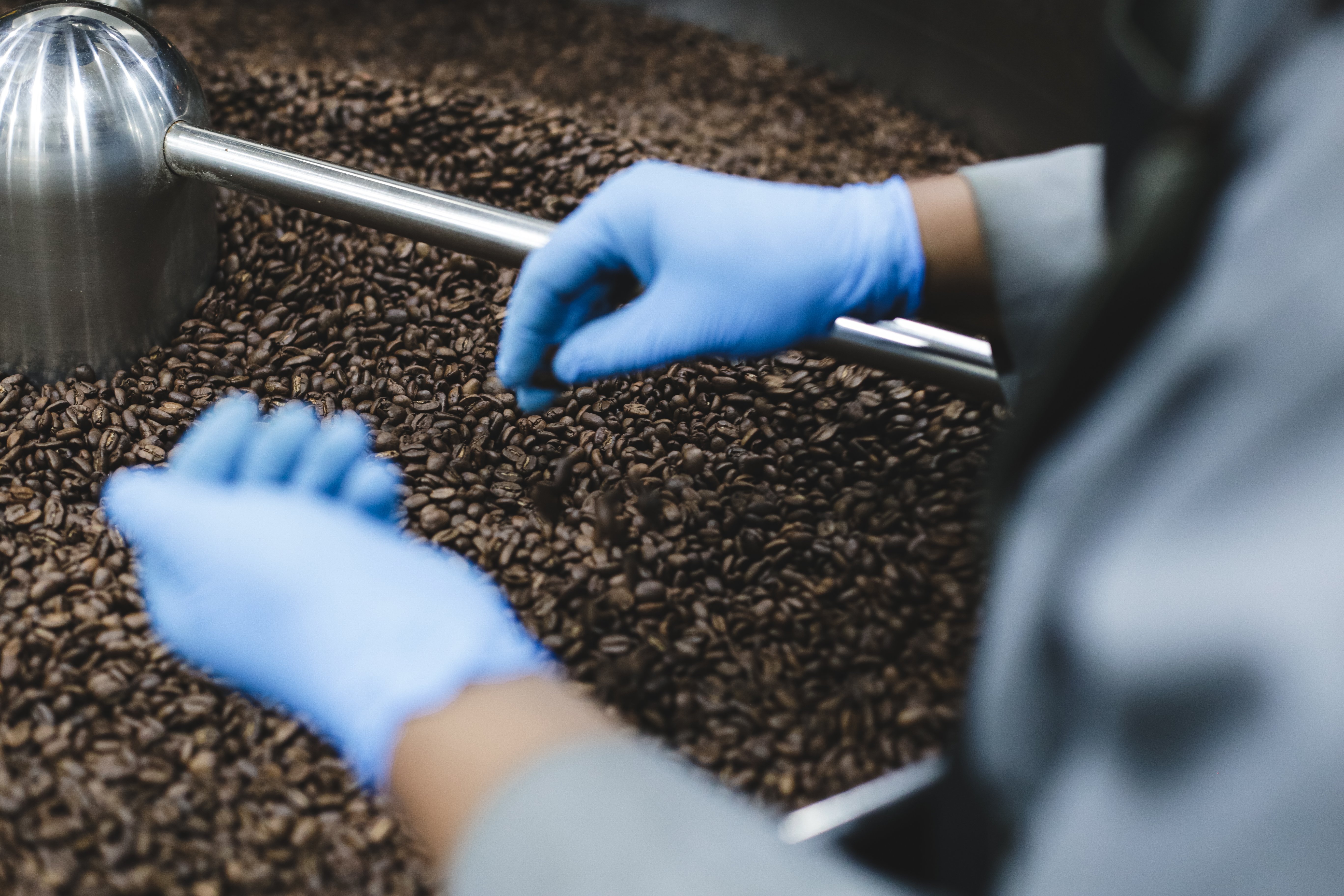 man-selecting-fresh-roasted-coffee-beans-in-modern-2023-11-27-05-28-52-utc